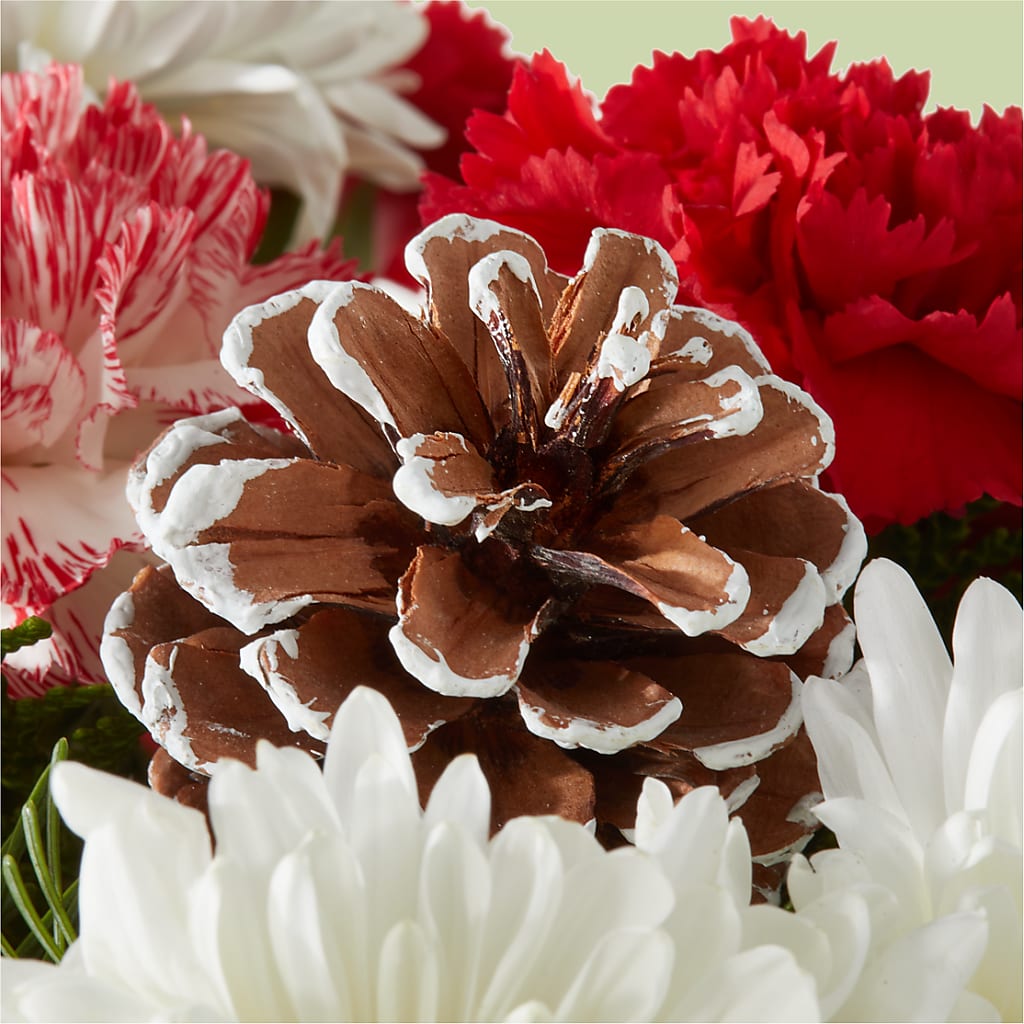 Candy Cane Lane Bouquet –  Paiges Petals Floral Design, Stanton MI