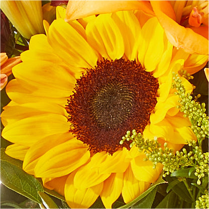 Seasons Change Bouquet –  Paiges Petals Floral Design, Stanton MI