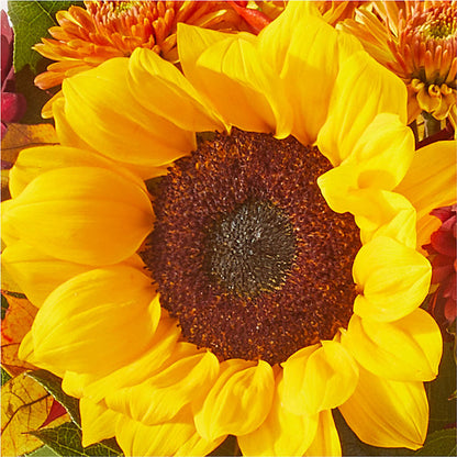 Sunny Side Bouquet –  Paiges Petals Floral Design, Stanton MI