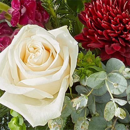 Cranberry Fizz Bouquet –  Paiges Petals Floral Design, Stanton MI