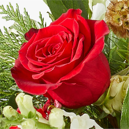 Deck the Halls Bouquet –  Paiges Petals Floral Design, Stanton MI