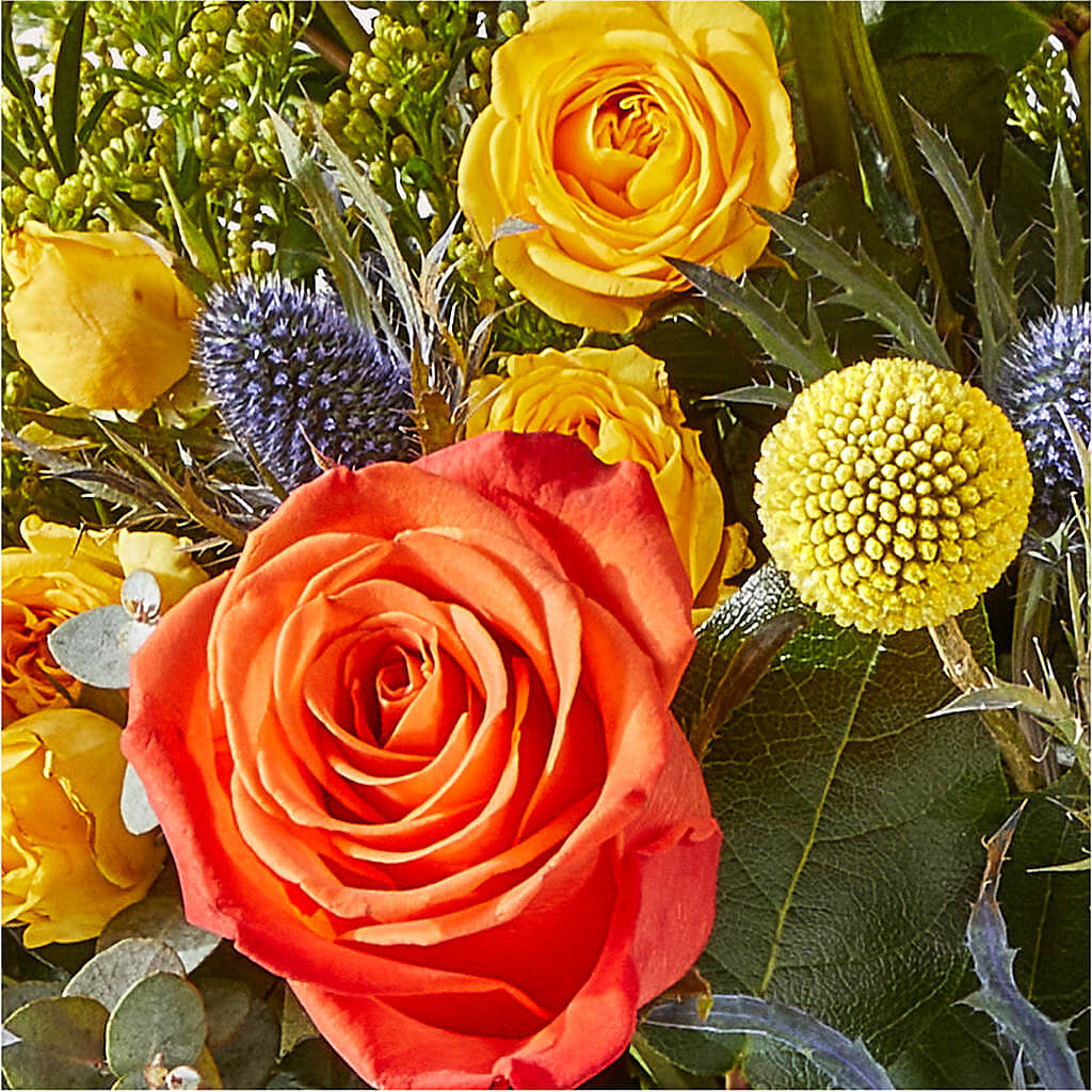Disco Bouquet –  Paiges Petals Floral Design, Stanton MI