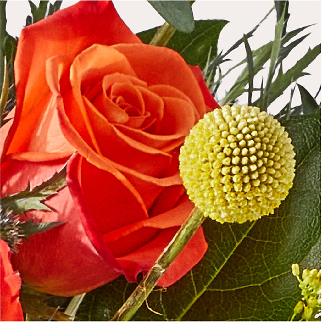 Disco Bouquet –  Paiges Petals Floral Design, Stanton MI