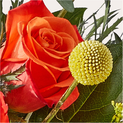 Disco Bouquet –  Paiges Petals Floral Design, Stanton MI