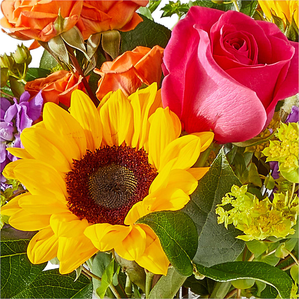 Vibrant Greetings Bouquet –  Paiges Petals Floral Design, Stanton MI