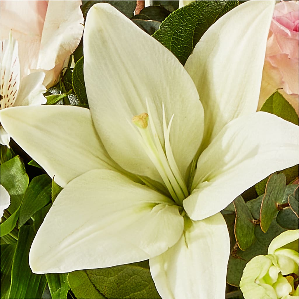 Ballet Slippers Bouquet –  Paiges Petals Floral Design, Stanton MI