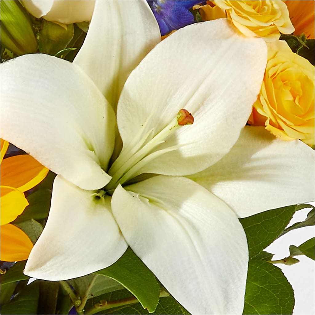 Wonderfully Sunny Bouquet –  Paiges Petals Floral Design, Stanton MI