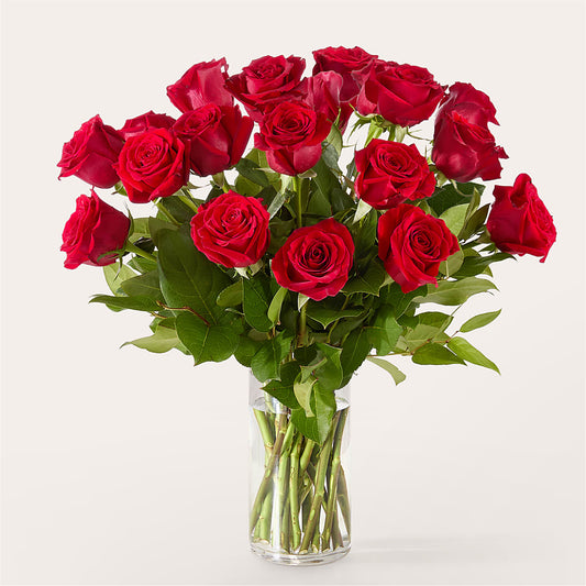 The One Red Rose Bouquet –  Paiges Petals Floral Design, Stanton MI