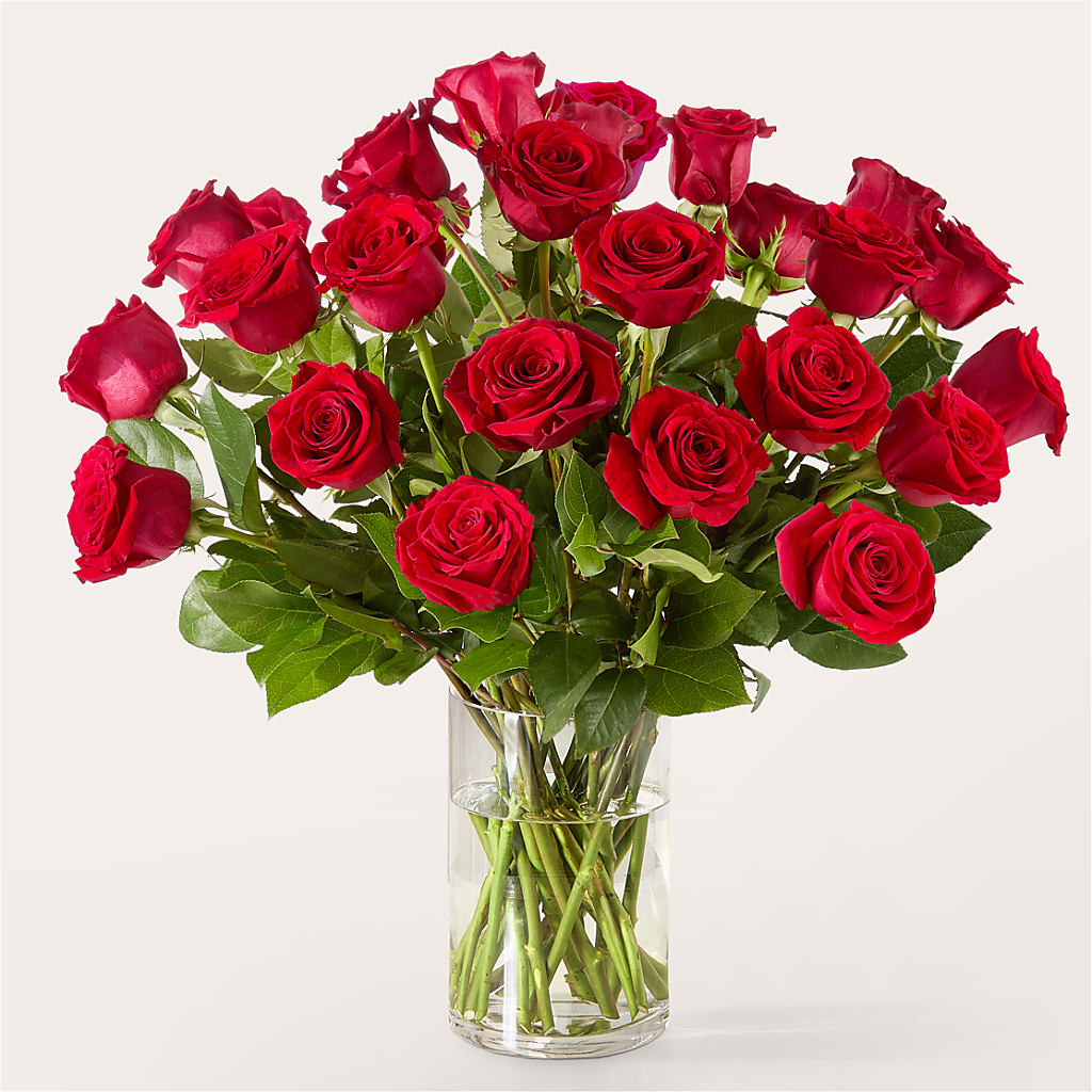The One Red Rose Bouquet –  Paiges Petals Floral Design, Stanton MI