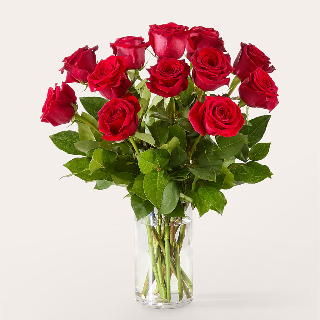 The One Red Rose Bouquet –  Paiges Petals Floral Design, Stanton MI