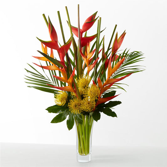 The Drama –  Paiges Petals Floral Design, Stanton MI