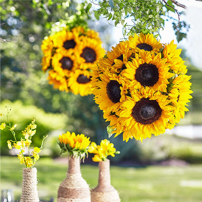 Sublime Garden Hanging Arrangement –  Paiges Petals Floral Design, Stanton MI