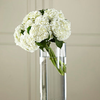 White Hydrangea Hand-Tied Bouquet –  Paiges Petals Floral Design, Stanton MI