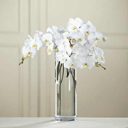 White Phalaenopsis Bouquet –  Paiges Petals Floral Design, Stanton MI