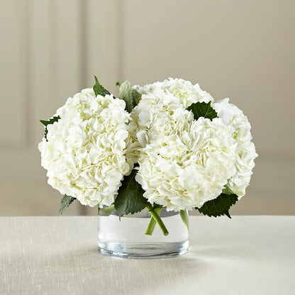 White Hydrangea Bouquet –  Paiges Petals Floral Design, Stanton MI